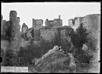1 vue  - [Herbignac (Loire-Atlantique). Chateau de Ranrouët en ruines, entrée.] / David (éditeur de cartes postales). Editeur. Sans date (ouvre la visionneuse)