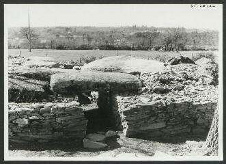 2 vues  - [Complexe mégalithique de Larcuste.] / Danigo. Photographe. 1973 (ouvre la visionneuse)