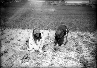1 vue  - [Deux femmes travaillant aux champs] / [Paul ou Charles Géniaux] (ouvre la visionneuse)